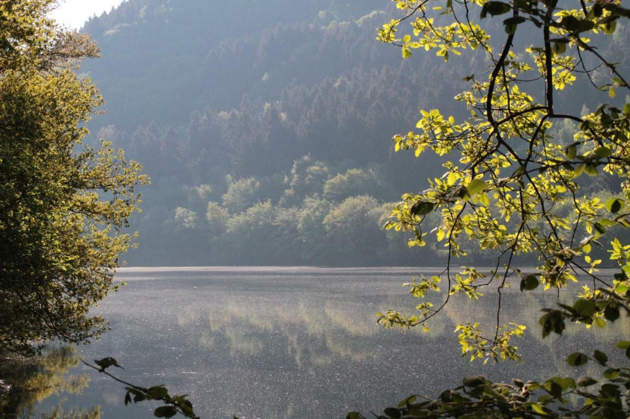 Ferienhaus Lara Heimbach Exteriér fotografie